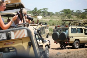 Serengeti Plains